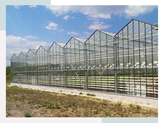 Строительство теплиц в Павловский Посад от 610 руб. за м²